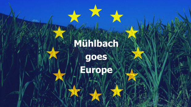 Planspiel „Mühlbach goes Europe“