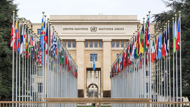 Die Vereinten Nationen