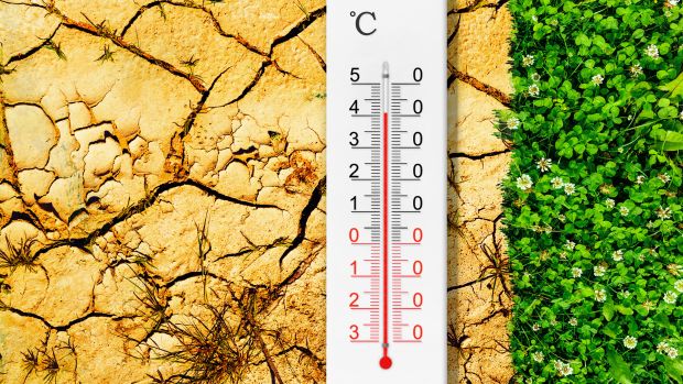 Klimawandel – Wen trifft’s